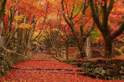 ⛩️ 사사키 신사(사사키 진자) 이미지 2